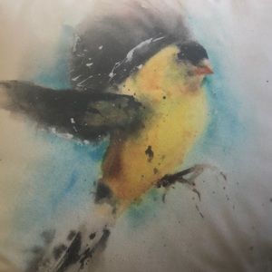 Meet your Posher, Buck